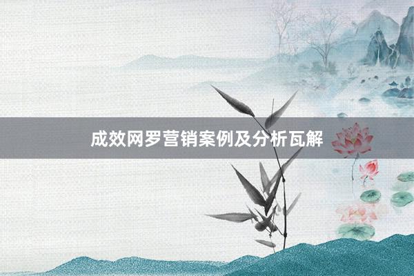 成效网罗营销案例及分析瓦解